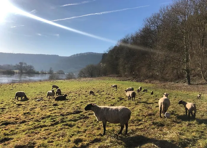 Bed and Breakfast Am Bootshaus Beverungen